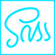 SaaS